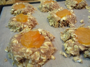 Apricot Thumbprint cookies ready to go into the dehydrator
